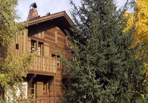 Chalet Reine Des Pres