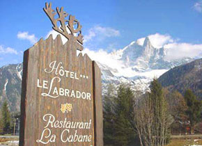 Le-Labrador-4